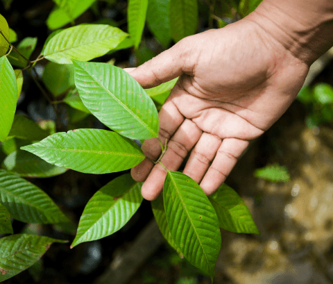 MyBabyTree About