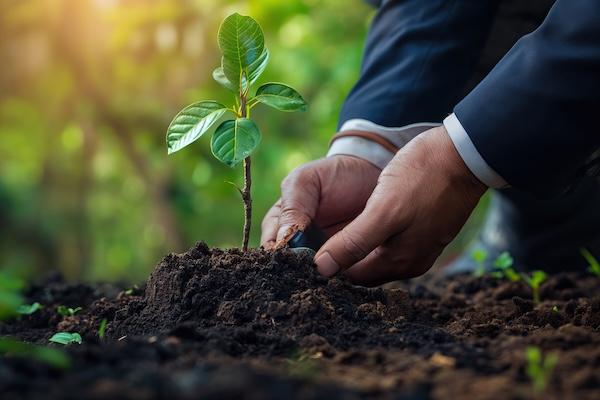 MyBabyTree Corporate