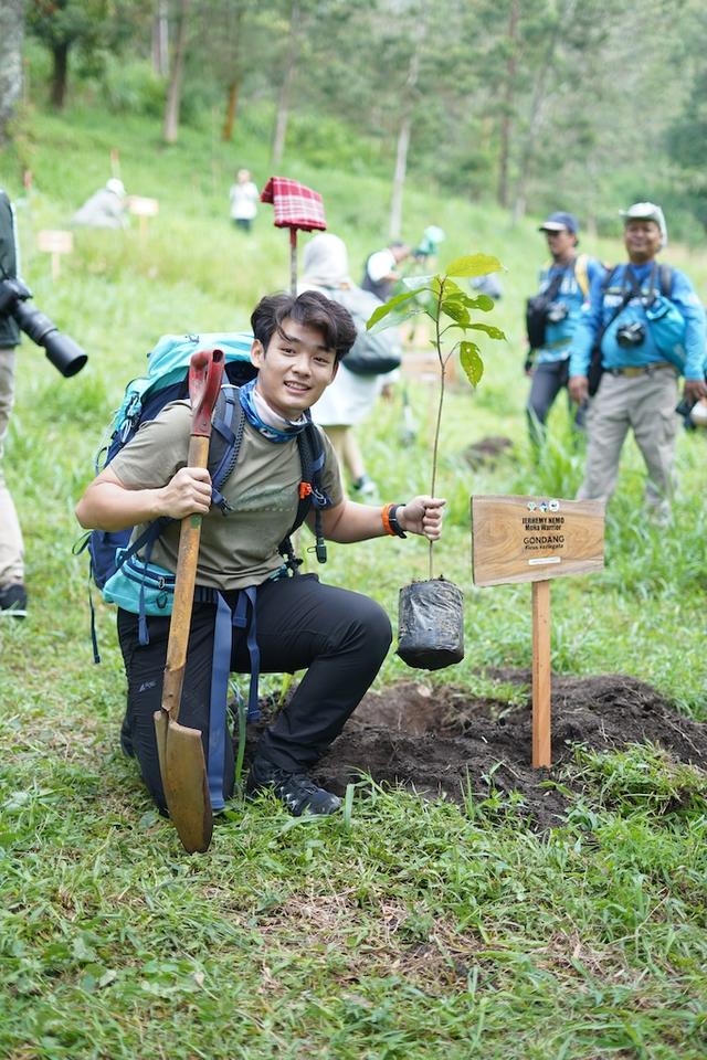 tanam pohon